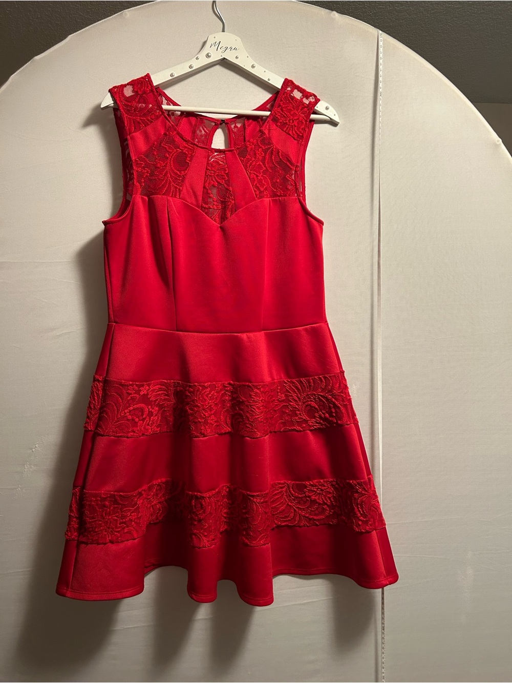 Trixxi Red Lace Panel Fit & Flare Dress